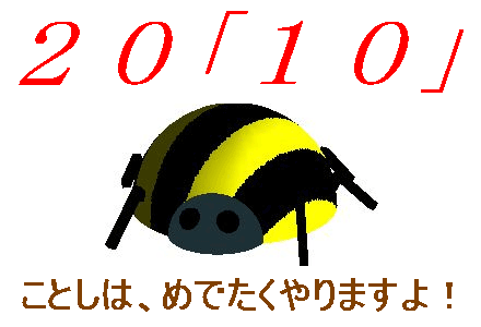 10̔N